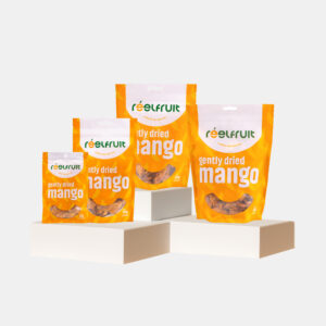 GENTLY DRIED MANGO - Image 3